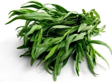 50 Adet Tarhun Tohumu (Artemisia Dracunculus L.)