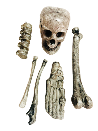 CADILAR BAYRAMI HALLOWEEN KEMİK VE KURUKAFA SİYAH DEKOR SÜS