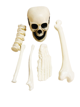 CADILAR BAYRAMI HALLOWEEN KEMİK VE KURUKAFA BEYAZ DEKOR SÜS