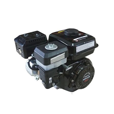 Dts Power Dts 200-6,5 Hp Ipli Kamalı Benzinli Motor