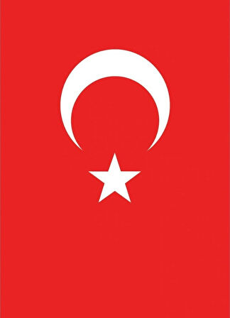 Türk Bayrağı 400 x 600 cm