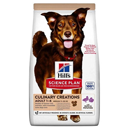 Hills culinary creations adult 14kg ördekli ve patatesli yetişkin köpek maması