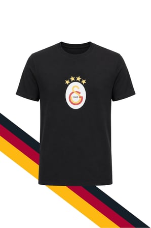 GALATASARAY ORİJİNAL LİSANSLI GRİ T-SHİRT, HEDİYELİ SİYAH T-SHİRT