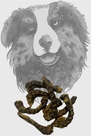 Sirius Kurutulmuş Tavuk Boyun Köpek Ödülü 100g