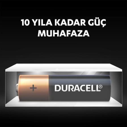 NessiWorld 4Lü AA Kalem Pil