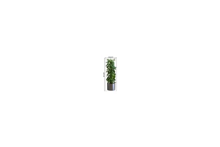 Saksılı Bitki Tasarımlı Yapışkanlı Sticker Resim 90*30 cm MC-665