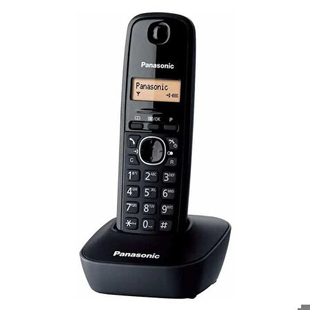 PANASONIC KX-TG 1611 DECT TELEFON (2818)