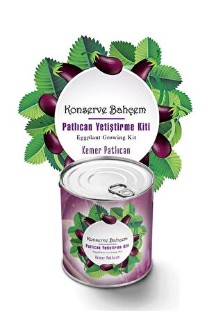 Konserve Bahçem Evde Konservede Kemer PatlıcanYetiştirme Kiti (2818)