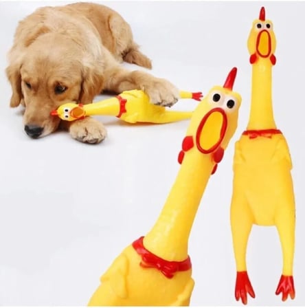 Öten Çığlık Atan Horoz Tavuk Civciv Köpek Kedi Için Bağıran Sesli Oyuncak L Boy 36 Cm