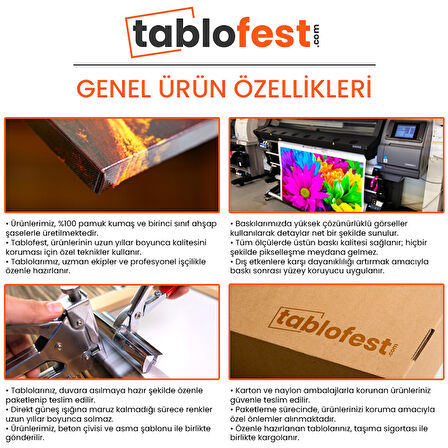 Kırmızı Gelincik Tarlası Kanvas Tablo