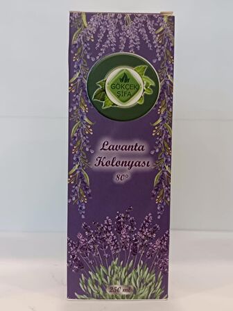 Lavanta Kolonyası