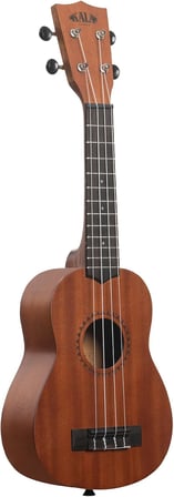 Kala Learn To Play Ukulele Başlangıç Seti