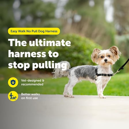 Easy Walk No-Pull Köpek Göğüs Tasması, Çekmeyi Önlemeye Yardımcı, Kontrolü Ele Alın ve Tasmayla Daha İyi Yürümeyi Öğretin, Evcil Hayvanların Çekmesini Önlemeye Yardımcı, Petite/S, Siyah/Gümüş