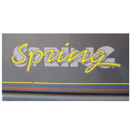 Renault Spring Yapıştırma Yazı SUS0027