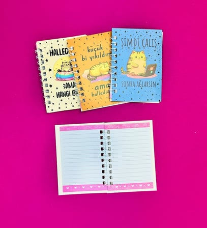 Mini 4'lü Kedili Spiralli Defter