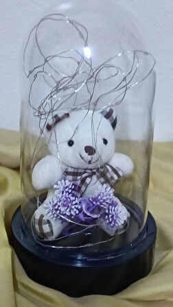 fanusta ayıcık led ışık 3 farlı tonda  