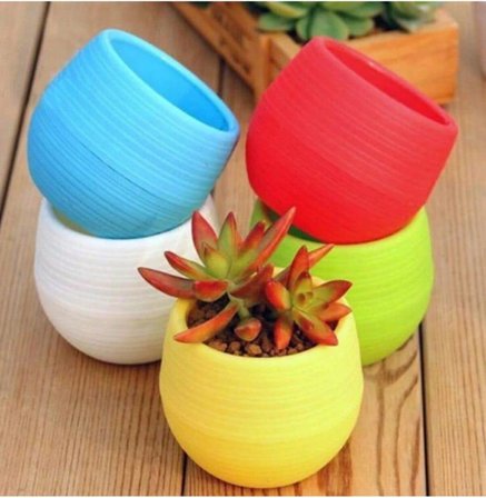 10 Adet Mini Şeker Saksı Kaktüs Saksısı Elvan Saksı Minik Küçük Karışık Renkli Saksı 0,13 Litre