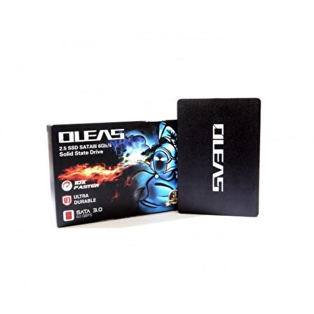 Oleas Gallop 256 GB SSD