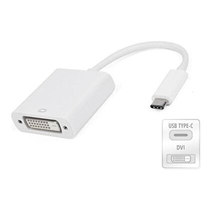  Type C To Dvi 24+5 Çevirici Dönüştürücü Adaptör