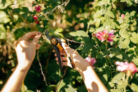 Fiskars Bahçe Makası Plus, SmartFit, P541, Taze dallar ve çalılar için, Yapışmaz kaplama, Paslanmaz çelik bıçaklar, Uzunluk: 20,1 cm, Siyah/Turuncu, 1057169