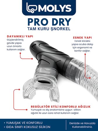 MOLYS M1 PROFESYONEL DALIŞ MASKESİ + MASKE KUTUSU + PRO FULL DRY TAM KURU ŞNORKEL + FREE DOM ANTI FOG BUĞU ÖNLEYİCİ FİLM