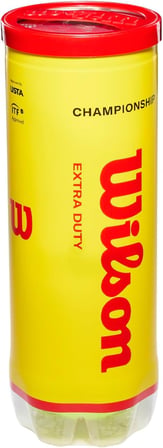 Champ Extra Duty Tennis Balls