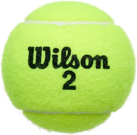 Champ Extra Duty Tennis Balls