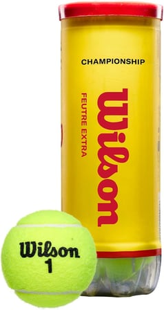 Champ Extra Duty Tennis Balls