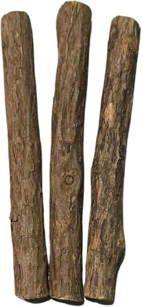 Matatabi - Stick Diş Temizlemeye Ve Stres Gidermeye Yardımcı Doğal Oyuncak