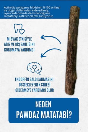 Matatabi - Stick Diş Temizlemeye Ve Stres Gidermeye Yardımcı Doğal Oyuncak