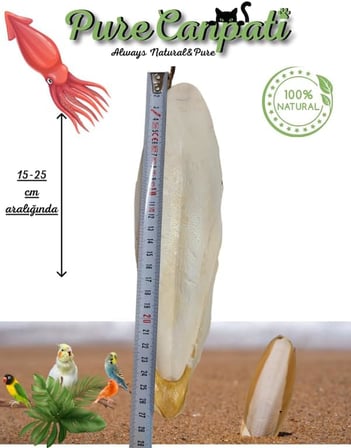 XL Kalamar Kemiği(İri Boy 15-20 cm aralığında)