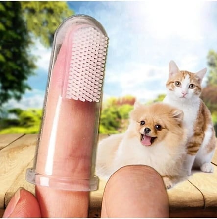 Kedi Ve Köpek Için Parmak Diş Fırçası