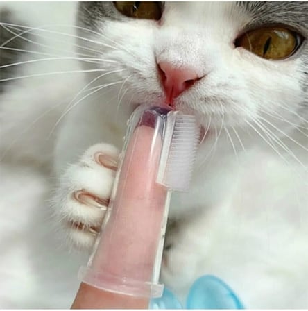 Kedi Ve Köpek Için Parmak Diş Fırçası
