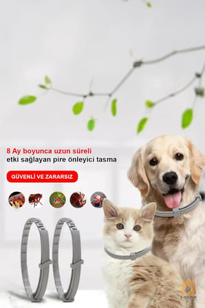 Köpek Anti Pire Kene Önleyici Tasma- Pire Önleyici -Kene Önleyici 63 cm