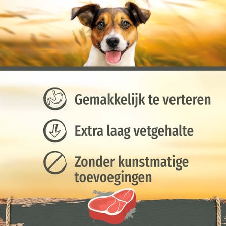Beef Mini Küçük Boy Sığır Etli Kemik 8'li, 128 Gr Köpek Ödülü