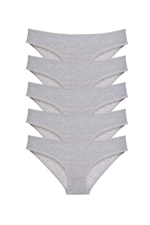 5 adet Süper Eko Set Likralı Kadın Slip Külot Gri