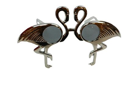 GÖZLÜK FLAMİNGO GÜMÜŞ