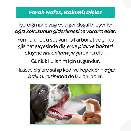 Vet's Plus Kedi ve Köpekler İçin Diş ve Ağız Bakım Spreyi 50ml