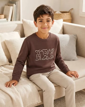 Kahverengi Nakışlı Erkek Çocuk Sweatshirt