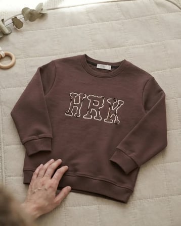 Kahverengi Nakışlı Erkek Çocuk Sweatshirt