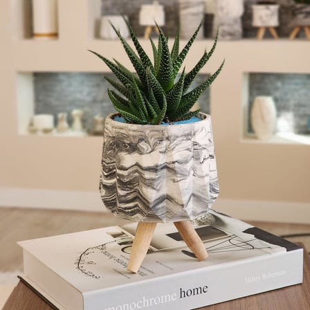 Modern Tasarım, El Yapımı Ahşap Ayaklı Antrasit Desenli Beyaz Beton Saksı - Minimalist Dekoratif Saksı, Kaktüs Ve Sukulent Saksısı