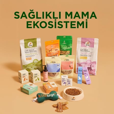 Toys Balık Peluş Kedi Oyuncağı