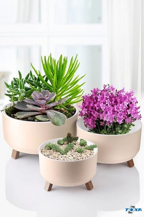 Tripot Saksı (Bej, 3 Boy)