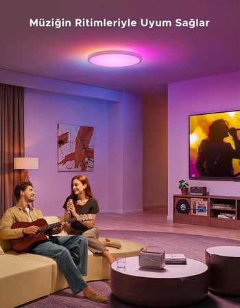 RGBWW + RGBIC Yuvarlak Akıllı Tavan Armatürü 12 İnç H80A1C01