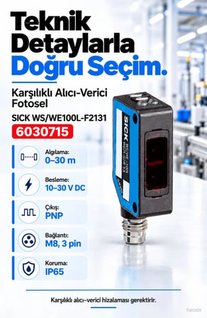 SICK WS/WE100L-F2131 karşılıklı lazer fotosel takımı 6030715