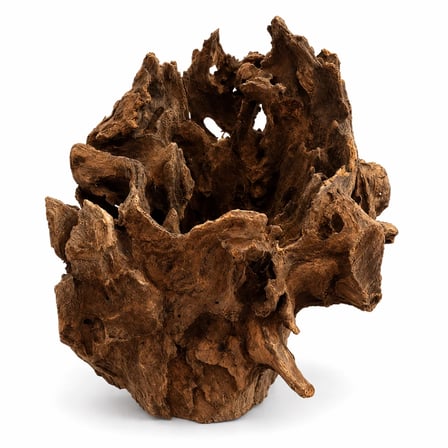 Drift Wood Akvaryum Kökü