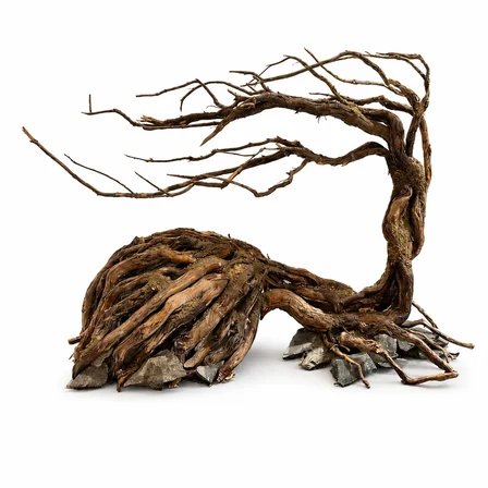 Ancient Wind Tree Akvaryum Dekoru