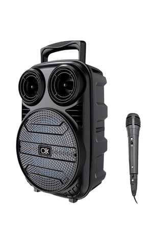 Bluetooth Taşınabilir Karaoke Hoparlör 6.5 İnç Mikrofonlu RGB Işıklı USB TF Kart Destekli