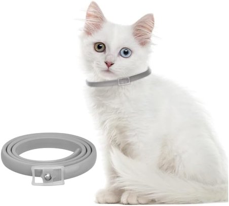 Kedi Pire ve Bit Kovucu Engelleyeci Tasma Boyunluk 38 cm