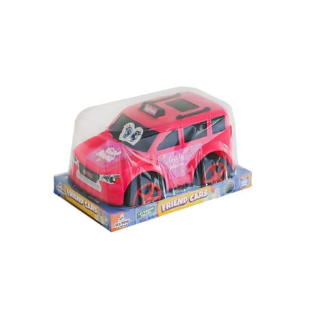 CLK-170 Vakumlu Miniks Renkliler